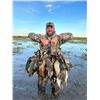 Image 1 : High Volume Duck Hunting for 4- Argentina