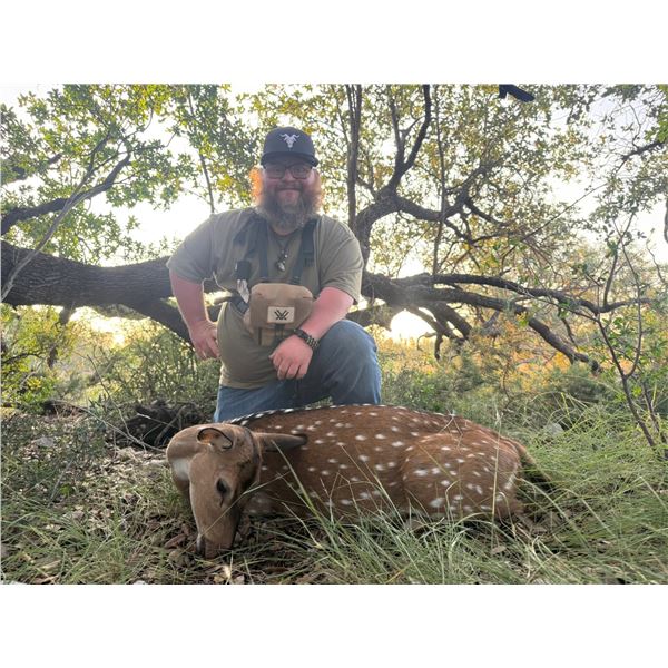 Hunters Choice- Axis or Stag Meat Hunt for 2