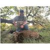 Image 1 : Hunters Choice- Axis or Stag Meat Hunt for 2
