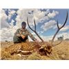 Image 2 : Hunters Choice- Axis or Stag Meat Hunt for 2
