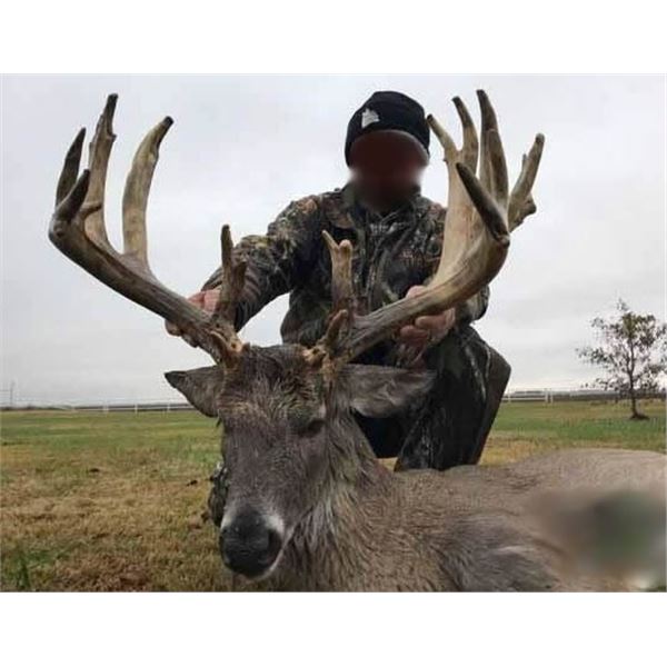 Up to 170" Whitetail hunt for 1- Brigham Ranch Preserve
