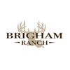 Image 3 : Up to 170" Whitetail hunt for 1- Brigham Ranch Preserve