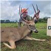 Image 1 : NC Whitetail Hunt/ 3 Days / 1 Hunter