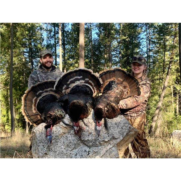 Washington Turkey Hunt/ 3 Days / 2 Hunters