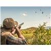 Image 1 : Argentina Dove Hunt/ 3 Days/ 3 Hunters