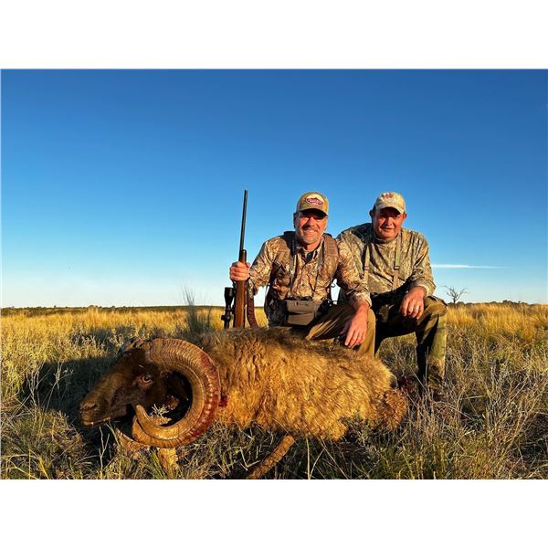 Argentina Blackbuck, Ram, and Boar Hunt/ 5 Days/ 4 Hunters