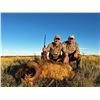 Image 1 : Argentina Blackbuck, Ram, and Boar Hunt/ 5 Days/ 4 Hunters