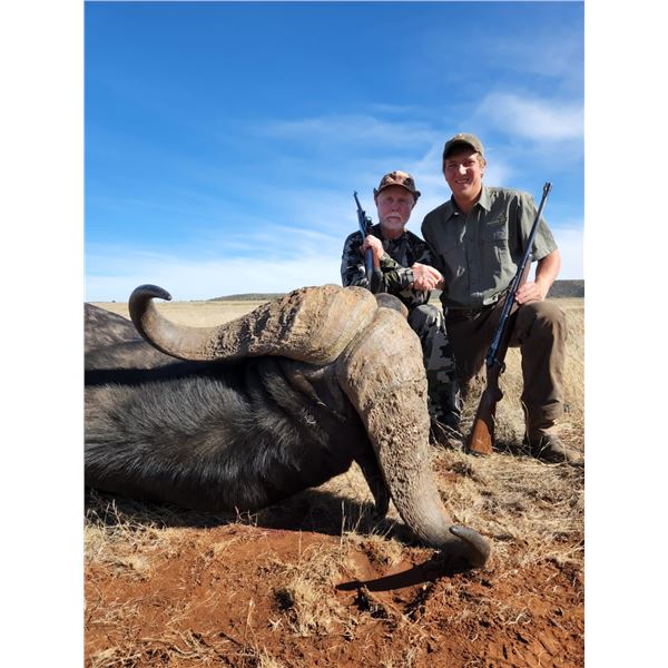 South Africa Cape Buffalo Hunt/ 5 Days/ 1 Hunter & 1 Observer
