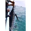 Image 2 : Belize Fishing & Jungle Excursion/ 6 Days /2 Anglers
