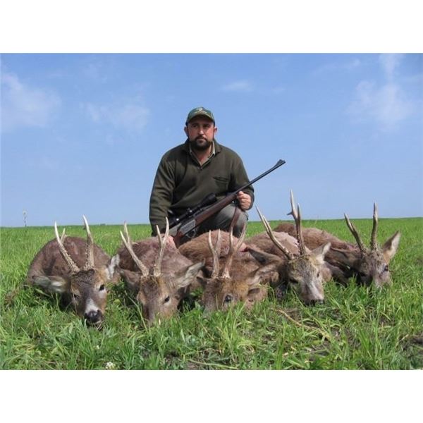Serbia Roe Deer and Tour/ 3 Hunt Days/ 2 Tour Days/ 2 Hunters (or 1 Hunter and 1 Observer)