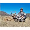 Image 1 : Mexican Coues Deer/ 4 Days/ 2 Hunters