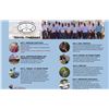 Image 3 : Costa Rica Epic Fishing and Rainforest Adventure/ 6 Days/ 2 Guests