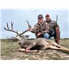 Image 2 : Hunter's Choice Free Range Mule Deer or Free Range Aoudad