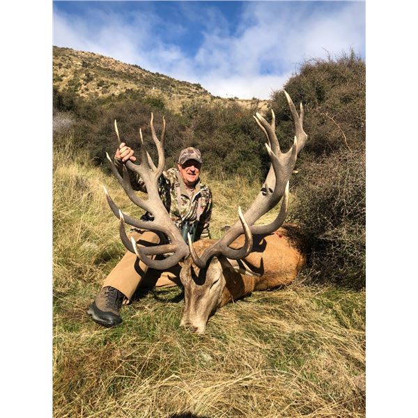 New Zealand Tahr Hunt on Foot
