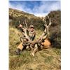 Image 1 : New Zealand Tahr Hunt on Foot