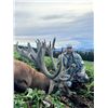 Image 2 : New Zealand Tahr Hunt on Foot