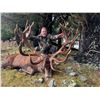 Image 3 : New Zealand Tahr Hunt on Foot