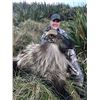 Image 4 : New Zealand Tahr Hunt on Foot