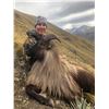Image 5 : New Zealand Tahr Hunt on Foot