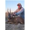 Image 4 : Spanish Hunt & Tourism Experience with Andres Torrico Pena of ATP HUNT