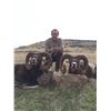 Image 8 : Spanish Hunt & Tourism Experience with Andres Torrico Pena of ATP HUNT