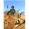 Image 10 : Namibian Safari with Wildest International
