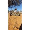 Image 11 : Namibian Safari with Wildest International