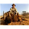 Image 12 : Namibian Safari with Wildest International