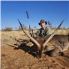 Image 13 : Namibian Safari with Wildest International