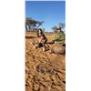 Image 1 : Namibian Safari with Wildest International