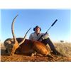 Image 8 : Namibian Safari with Wildest International