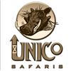 Image 2 : Incredible South African Adventure with Unico Safaris