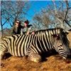 Image 3 : Incredible South African Adventure with Unico Safaris