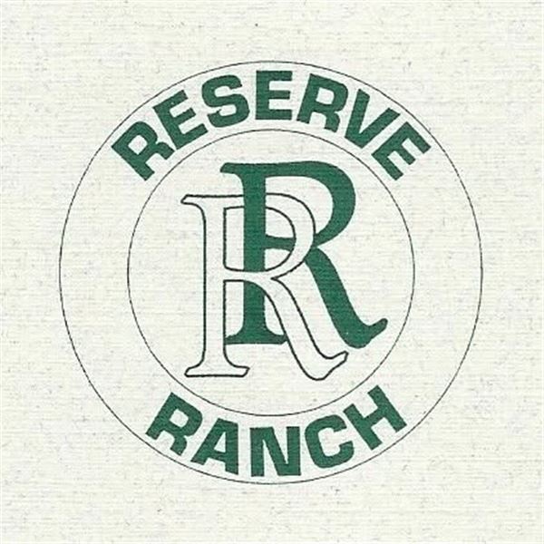 Scimitar Oryx Hunt at the Reserve Ranch in South Texas