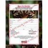 Image 5 : SCI & SCI AUSTIN Life Membership, Two Passes to SCI Convention in Nashville, and Argentina Dove Hunt