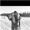 Image 1 : Ontario Canada Timberwolf Hunt