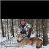 Image 2 : Ontario Canada Timberwolf Hunt
