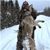 Image 6 : Ontario Canada Timberwolf Hunt