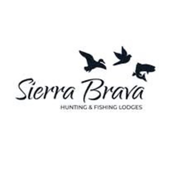 Argentina Dove Hunt for Eight