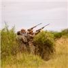 Image 2 : Argentina Dove Hunt for Eight