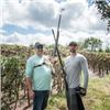 Image 4 : Argentina Dove Hunt for Eight
