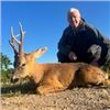 Image 3 : Roe Deer Hunt with Hunt Trip Spain