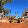 Image 5 : 6 Day Safari for 4 Hunters