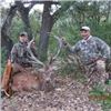 Image 1 : Texas Red Stag Hunt