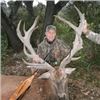 Image 3 : Texas Red Stag Hunt