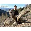 Image 5 : Spain Ibex Hunt