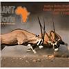 Image 4 : 10 Day Namibian Safrai