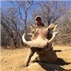 Image 5 : 10 Day Namibian Safrai