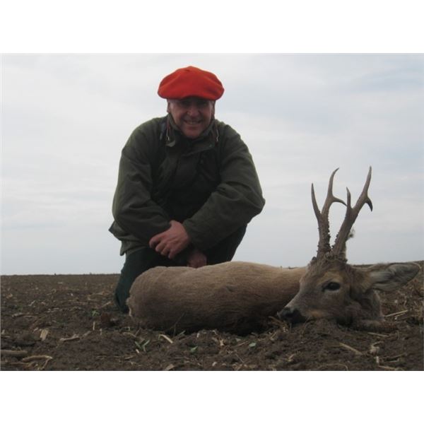 Serbian Roe Deer