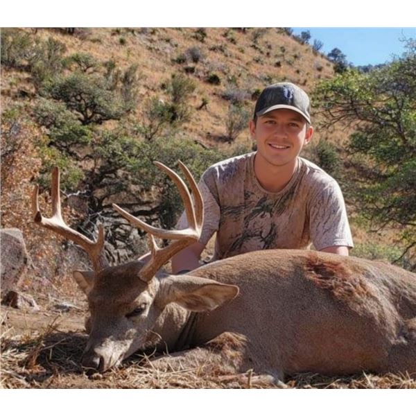 Coues Deer in Mexico
